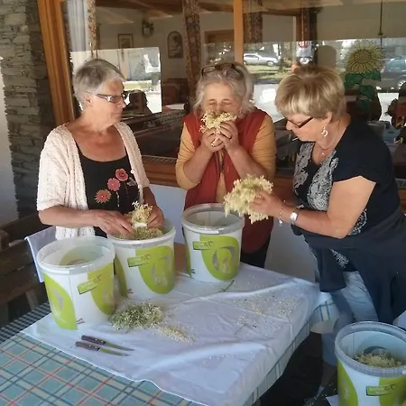 Schwimmbad Camping Mossler Camping *