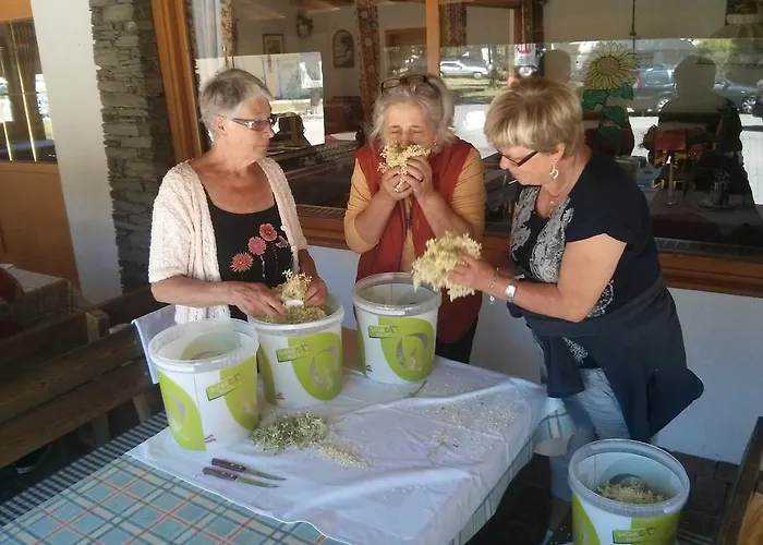 Schwimmbad Camping Mossler Kemping *